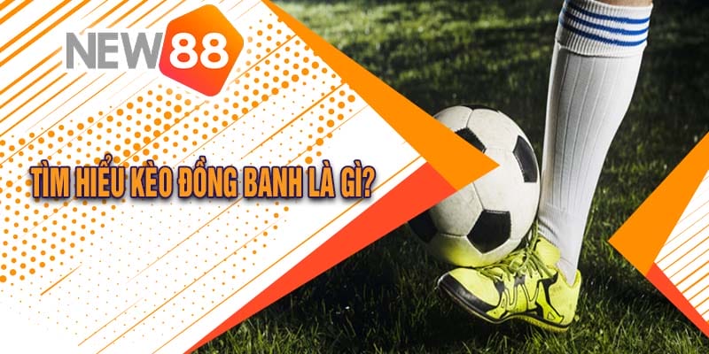 Kèo Đồng Banh Là Gì? Cách Chơi Kèo Đồng Banh Tại New88 Đăng Nhập 1 kèo đồng banh